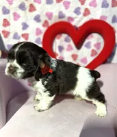 processed/c6de2610-cabb-4a21-b945-dff2f15626d2/listing/2db06a20-9cba-439e-989a-122b5ff86735/cbb5274a-44d4-4285-afbd-a66d0b56d564