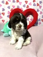 processed/c6de2610-cabb-4a21-b945-dff2f15626d2/listing/a2b0f91a-16a7-4ecb-9a5c-777f5b1a2f37/c246f115-d1f4-4803-acb7-88405e19203d