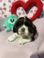 processed/c6de2610-cabb-4a21-b945-dff2f15626d2/listing/a2b0f91a-16a7-4ecb-9a5c-777f5b1a2f37/e7ee0862-1854-4f0b-8db2-a063b072fc71