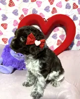 processed/c6de2610-cabb-4a21-b945-dff2f15626d2/listing/b240b304-7ba7-4676-9c9f-5047ee22126d/17c8e3bf-d5eb-49b3-b86e-f27ff0894bc8