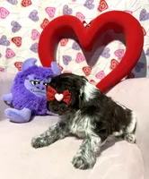 processed/c6de2610-cabb-4a21-b945-dff2f15626d2/listing/b240b304-7ba7-4676-9c9f-5047ee22126d/4ba193d5-9398-44ea-81dd-ea60d1c1ceea