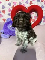 processed/c6de2610-cabb-4a21-b945-dff2f15626d2/listing/b240b304-7ba7-4676-9c9f-5047ee22126d/5a57363e-b96c-4cc7-beb0-e0387e0a0d0a