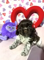 processed/c6de2610-cabb-4a21-b945-dff2f15626d2/listing/b240b304-7ba7-4676-9c9f-5047ee22126d/9014a722-daef-462c-9f47-ab57b8a88f6b