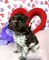 processed/c6de2610-cabb-4a21-b945-dff2f15626d2/listing/b240b304-7ba7-4676-9c9f-5047ee22126d/90f01bb4-b6ef-4530-a68c-90745888f877