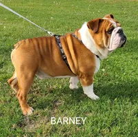 processed/c6dec81b-aa1d-4fa6-9c2e-d7fcf214219c/facility/046ccab3-6b6d-4f6e-991f-0707517ce613