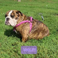 processed/c6dec81b-aa1d-4fa6-9c2e-d7fcf214219c/facility/3daf1296-467a-44e8-a844-89d0c88074be