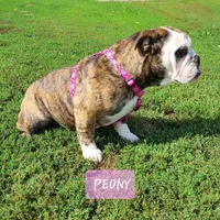 processed/c6dec81b-aa1d-4fa6-9c2e-d7fcf214219c/facility/4c10d4d9-9c95-44f1-981a-e1b17e61d92c