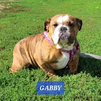 processed/c6dec81b-aa1d-4fa6-9c2e-d7fcf214219c/facility/77bf0187-e224-460d-b173-a1bb916b056e