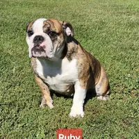 processed/c6dec81b-aa1d-4fa6-9c2e-d7fcf214219c/facility/9fbd2b6d-fcd6-45aa-87a6-5f0bb62e82b6