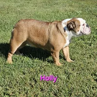 processed/c6dec81b-aa1d-4fa6-9c2e-d7fcf214219c/facility/a265b11f-37f2-43a0-b92f-559bdc7ef530