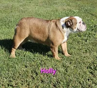 processed/c6dec81b-aa1d-4fa6-9c2e-d7fcf214219c/facility/a265b11f-37f2-43a0-b92f-559bdc7ef530