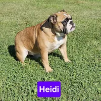 processed/c6dec81b-aa1d-4fa6-9c2e-d7fcf214219c/facility/b1eb793f-2b00-4c05-8cf1-71b8ef73774b