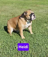 processed/c6dec81b-aa1d-4fa6-9c2e-d7fcf214219c/facility/b1eb793f-2b00-4c05-8cf1-71b8ef73774b