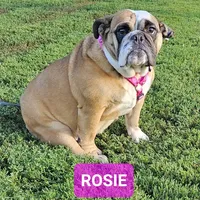 processed/c6dec81b-aa1d-4fa6-9c2e-d7fcf214219c/facility/ba0f60fc-89d3-4d5c-b10c-0be597f0475e