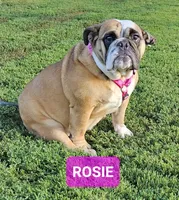 processed/c6dec81b-aa1d-4fa6-9c2e-d7fcf214219c/facility/ba0f60fc-89d3-4d5c-b10c-0be597f0475e