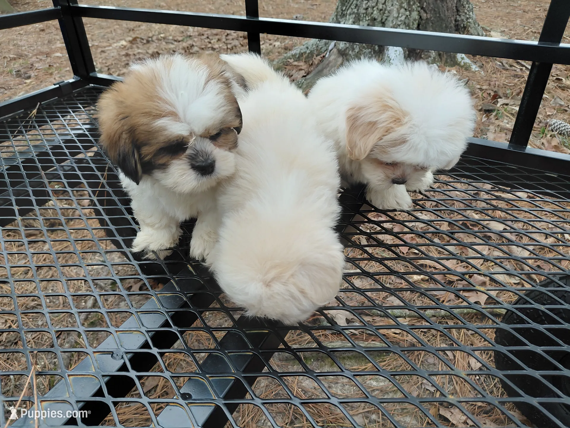 processed/c6e844e6-4f16-401a-a145-d7d8da87094c/listing/2642f30d-ac4a-42b1-942f-c2e7f03c4e0e/d1f84a40-211a-45cf-bf11-bc194acb8fa3