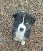 processed/c6e844e6-4f16-401a-a145-d7d8da87094c/listing/d85c5333-f479-49a6-8356-02d235addeb9/6e53739d-b3e3-4aee-a750-c84c78e61f73