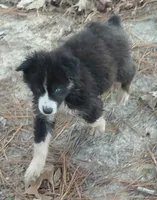 processed/c6e844e6-4f16-401a-a145-d7d8da87094c/listing/d85c5333-f479-49a6-8356-02d235addeb9/adc8d055-8876-4460-8385-710ce7580a57