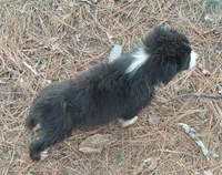 processed/c6e844e6-4f16-401a-a145-d7d8da87094c/listing/d85c5333-f479-49a6-8356-02d235addeb9/f688134e-4a16-4939-8ab5-a626b3b08cd8