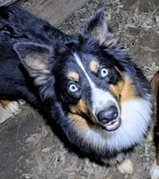 processed/c6e844e6-4f16-401a-a145-d7d8da87094c/listing/dc657814-d2eb-4f44-bea3-ed8eaacfdbc4/4d817eec-e765-4ba7-9788-ca3eaff498f3