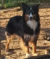 processed/c6e844e6-4f16-401a-a145-d7d8da87094c/listing/dc657814-d2eb-4f44-bea3-ed8eaacfdbc4/98d26bae-49af-4246-b9e1-8fe0eb1f4ca6