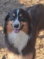 processed/c6e844e6-4f16-401a-a145-d7d8da87094c/listing/dc657814-d2eb-4f44-bea3-ed8eaacfdbc4/c14f5708-8dbd-437e-8afe-885b1500b6fa