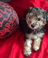 processed/c6eb0a1b-33b4-4586-9a1e-8cdb815dd78e/listing/0307dff0-fbee-4a58-868a-56d8905dda05/3234eb92-cebe-4fca-8665-d23c069a3459