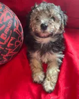 processed/c6eb0a1b-33b4-4586-9a1e-8cdb815dd78e/listing/0307dff0-fbee-4a58-868a-56d8905dda05/c1b16ab5-0469-4735-8f0e-7c253a9ee45d