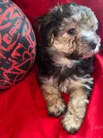 processed/c6eb0a1b-33b4-4586-9a1e-8cdb815dd78e/listing/0307dff0-fbee-4a58-868a-56d8905dda05/eec53705-7ca2-4ee2-95f2-9e1c4e0d82b1