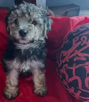 processed/c6eb0a1b-33b4-4586-9a1e-8cdb815dd78e/listing/0307dff0-fbee-4a58-868a-56d8905dda05/f3f68cbb-16d7-4733-9a47-bfaead1f3e6f