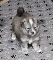 processed/c6f4b512-1d57-4f24-bd71-e4e21da2951c/listing/551f6062-7c9c-47f7-a945-1ed228aea815/61929459-77f4-4d7e-ab5d-2e69d6309f50