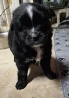 processed/c6f4b512-1d57-4f24-bd71-e4e21da2951c/listing/ae3274b5-90c0-4f6d-993e-cf5c0507cdfd/67fe3e12-2abf-4998-bdc4-f8241d932475