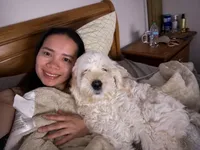 Queeny, a female Cockapoo and Goldendoodle for sale in Pendleton, SC – 1 of 5