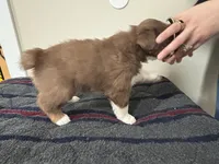 processed/c6fe950b-6114-4a6b-93ef-5d0c8d5de677/listing/4091e154-7a5d-4d9a-a986-991a018a8bcc/7f9d8305-34df-4ebf-a4d4-5f9039395018