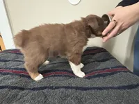 processed/c6fe950b-6114-4a6b-93ef-5d0c8d5de677/listing/4091e154-7a5d-4d9a-a986-991a018a8bcc/cf148e49-2f53-450e-9ee4-233abb842848