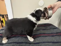 processed/c6fe950b-6114-4a6b-93ef-5d0c8d5de677/listing/9f13975a-0282-4f04-86e4-d5cdbade2d5d/1d5583dd-3e95-458d-8520-605cf137f6a6