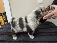 processed/c6fe950b-6114-4a6b-93ef-5d0c8d5de677/listing/c0d58c20-ec05-4292-8254-c6095ae899b3/10acd70b-f897-414a-983b-8e97fe8a9ed6