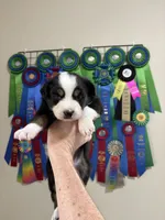 processed/c6fe950b-6114-4a6b-93ef-5d0c8d5de677/listing/d0de2e3d-e19a-4e70-a95b-0850cdddae33/bcd972e3-a441-498b-81b3-78db4c3cf868