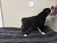 processed/c6fe950b-6114-4a6b-93ef-5d0c8d5de677/listing/d0de2e3d-e19a-4e70-a95b-0850cdddae33/e24ac7c5-92c7-4232-8f32-0a6ca0b09155