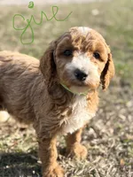 processed/c70e74ef-70d0-4055-bbee-73b1d1d42de1/listing/0cf6cc7e-d91f-495f-93f0-8d58e15c9067/28f3fbc5-4be0-4607-8c79-798eaf639e59