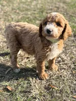 processed/c70e74ef-70d0-4055-bbee-73b1d1d42de1/listing/0cf6cc7e-d91f-495f-93f0-8d58e15c9067/428ac0e6-95dd-4ef0-bda8-bc7d7b863a4d