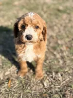 processed/c70e74ef-70d0-4055-bbee-73b1d1d42de1/listing/0cf6cc7e-d91f-495f-93f0-8d58e15c9067/5fa14ae9-3da1-4432-92be-ca222965e0d2