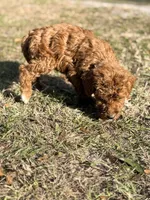 processed/c70e74ef-70d0-4055-bbee-73b1d1d42de1/listing/a1b39dd1-5744-4ebd-8c72-47af8a1ae400/1aa5c339-c6ea-4ef0-a375-9b720f2fb66f