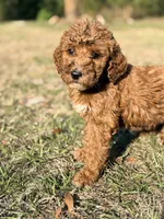 processed/c70e74ef-70d0-4055-bbee-73b1d1d42de1/listing/a1b39dd1-5744-4ebd-8c72-47af8a1ae400/9d39d461-c500-450b-9a13-d1b551169ce5