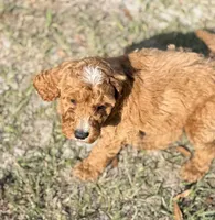 processed/c70e74ef-70d0-4055-bbee-73b1d1d42de1/listing/edf0ba7a-3990-4719-89fc-50cf2f141c01/757de33a-cb42-4153-9ed6-d8c6f437a88a