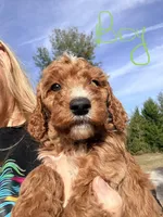 processed/c70e74ef-70d0-4055-bbee-73b1d1d42de1/listing/edf0ba7a-3990-4719-89fc-50cf2f141c01/f55ac22c-56cb-4dfb-a73f-eb154c8f16b3