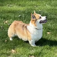 processed/c71a5250-56b3-4e9c-874f-b0f3d904917d/facility/1ad0098c-e704-4fc8-9fce-6a388f76dc65