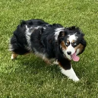 processed/c71a5250-56b3-4e9c-874f-b0f3d904917d/facility/2a2dcab2-8212-463d-81ac-e07451fa8ccf