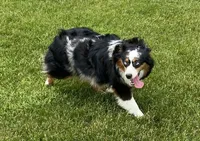 processed/c71a5250-56b3-4e9c-874f-b0f3d904917d/facility/2a2dcab2-8212-463d-81ac-e07451fa8ccf