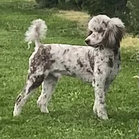 processed/c71a5250-56b3-4e9c-874f-b0f3d904917d/facility/3323ae86-ea42-4e06-a119-d8ad1910a9f1